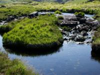 Grasinsel im Bachlauf - Gleninchaquin Park, Co. Kerry